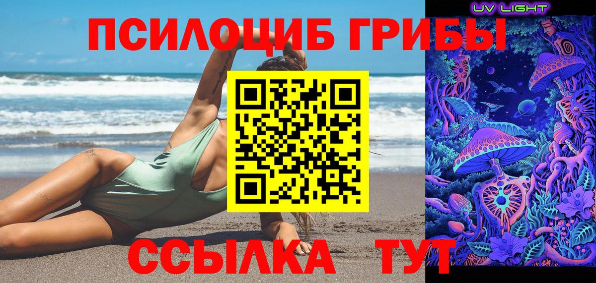 Галлюциногенные грибы Psilocybine cubensis Алексин